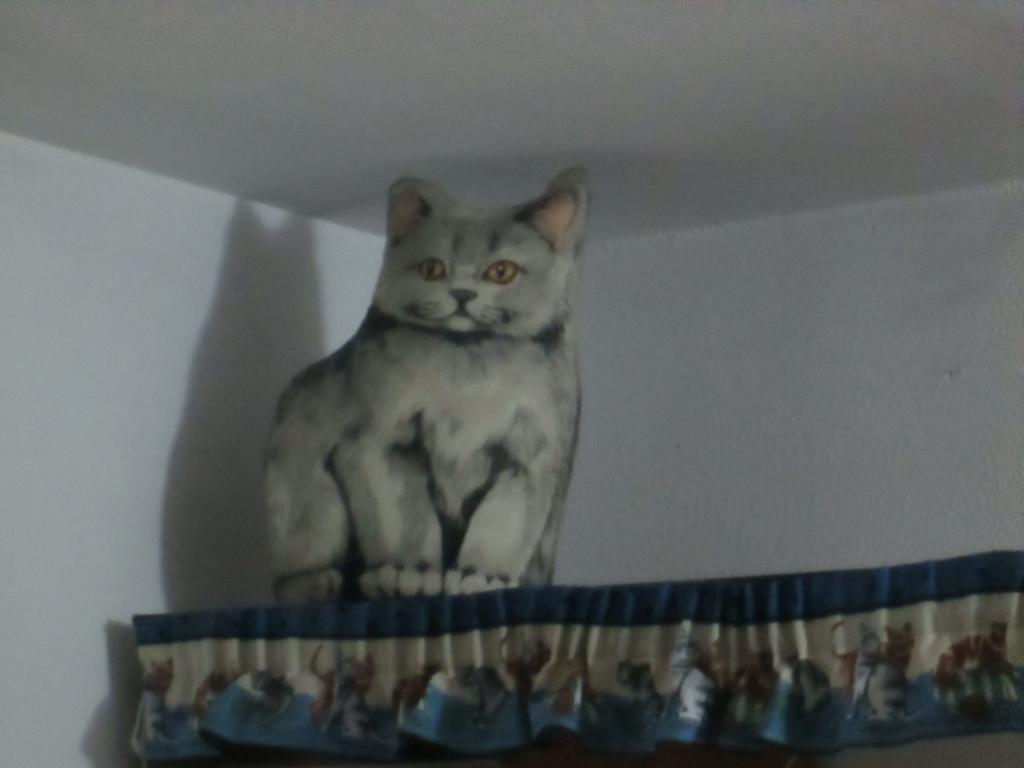 Cat'S House Apartment Lido di Ostia Ruang foto